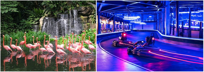 Singapore - zoo and go karting