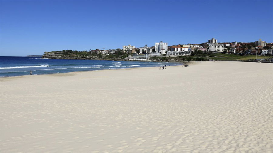 The wide stretch of Bondi Beach with the cityscape in the background, in Sydney