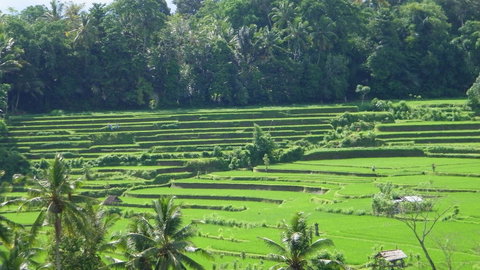 Indonesia: Jakarta, Bali & Lombok