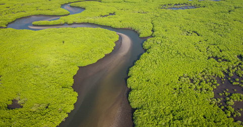Senegal and The Gambia